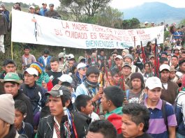 Tejiendo desde el corazon- los derechos humanos de los pueblos indigenas - 2009-2011