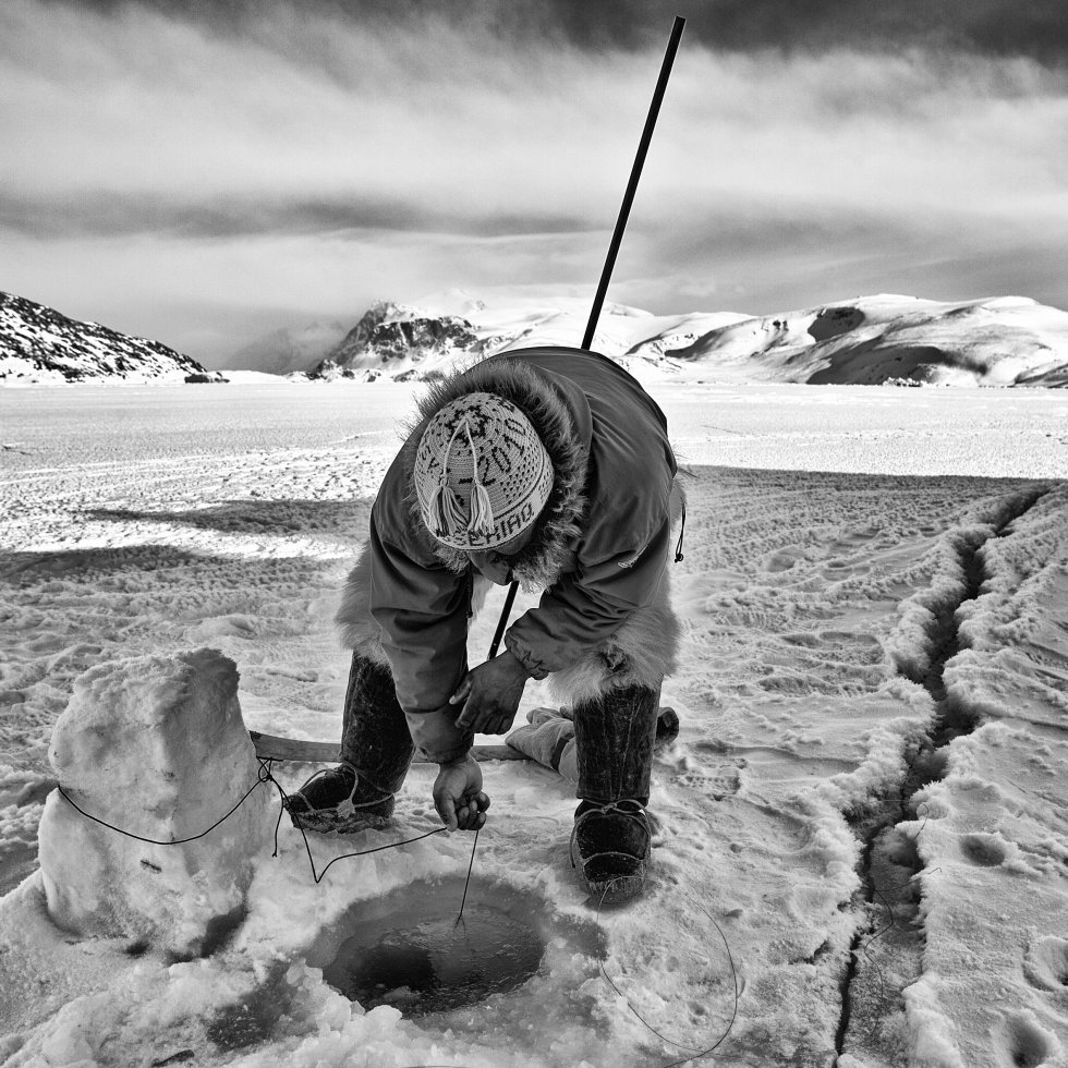 Un pescador inuit de Groenlandia, a la caza y captura de sus presas a través de un agujero perforado en el hielo, en 2011. Inuit es un nombre común para los distintos pueblos esquimales que habitan las regiones árticas de América. Han soportado la vida del Ártico durante miles de años y tienen una gran experiencia para sobrevivir en el hielo. Se calcula que son unas 150.000 personas que llevan una vida nómada, siguiendo las migraciones de los animales que cazan, como caribúes, osos, ballenas y focas. De ellos aprovechan todas las partes posibles para alimentarse, abrigarse, construir viviendas y herramientas para cazar. En los últimos tiempos, el proceso de globalización está produciendo un cambio en sus formas de vida originarias. PHILIPPE GESLIN SURVIVAL INTERNATIONAL