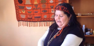 Comunidad Ser Indígena: “Leyendo en la Web a nuestros Pueblos Originarios”