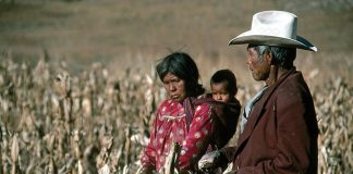Relatora de la ONU sobre pueblos indígenas revisará cumplimiento de recomendaciones en México