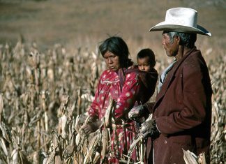 Relatora de la ONU sobre pueblos indígenas revisará cumplimiento de recomendaciones en México