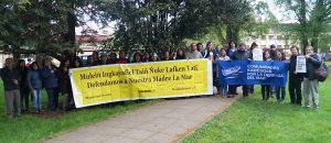 Pueblos Originarios / Chile. Comunidades se unen para defender Ley Lafkenche
