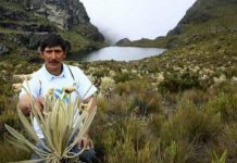 «Proyecto minero en Santurbán sigue en marcha»: MinMinas "Proyecto minero en Santurbán sigue en marcha": Ministro de Minas (Foto: Archivo /VANGUARDIA LIBERAL)