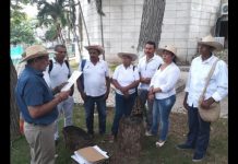 Corte amparó derecho a la propiedad colectiva del territorio ancestral indígena