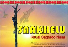 Gran encuentro de Saakhelu