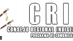 logo CRIC – Con Texto – mediano – 300