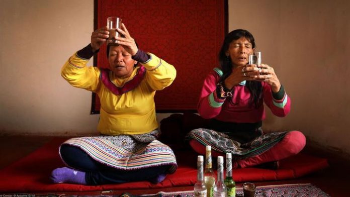 noticia-ayahuasca-ministerio-de-cultura-indecopi