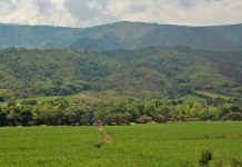 Continúa la liberación de la madre tierra en la Cxhab Wala Kiwe