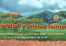 V encuentro regional de semillas de identidad y defensa territorial