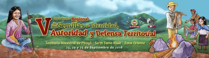 V encuantro semillas de vida