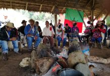 Consejo territorial de autoridades Cxhab Wala Kiwe se realizó en el territorio ancestral Jambaló