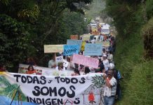 El ‘arma’ jurídica que Antioquia desempolvó para frenar proyectos extractivos