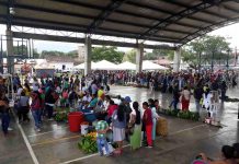 Trueque y Arte en Caloto Cauca