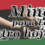 img-minga-tejer hojas de vida