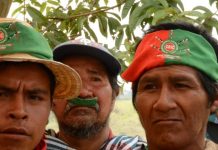 Aunar esfuerzos para exigir la reivindicación de los derechos a la vida y el territorio