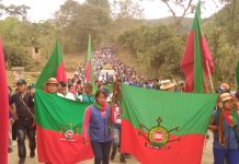 El territorio es la vida de los pueblos originarios