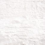 1blanca_Tex – copia