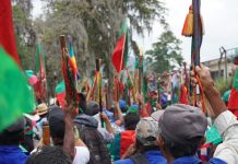Los Pueblos Indígenas Amazónicos pertenecientes al departamento del Putumayo nos unimos a la Minga del Suroccidente