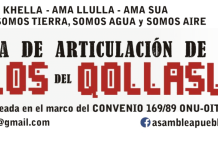 Solidaridad con la asociación de cabildos indígenas del Norte del Cauca – ACIN – Colombia