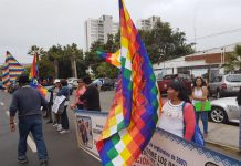 Declaración Pública : Pueblos Originarios y Pueblo Tribal Afrodescendiente