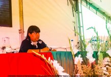 ¿Proyecto Político Pedagógico para quién?