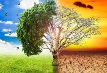 Las voces de los pueblos indígenas deben ser escuchadas frente al cambio climático