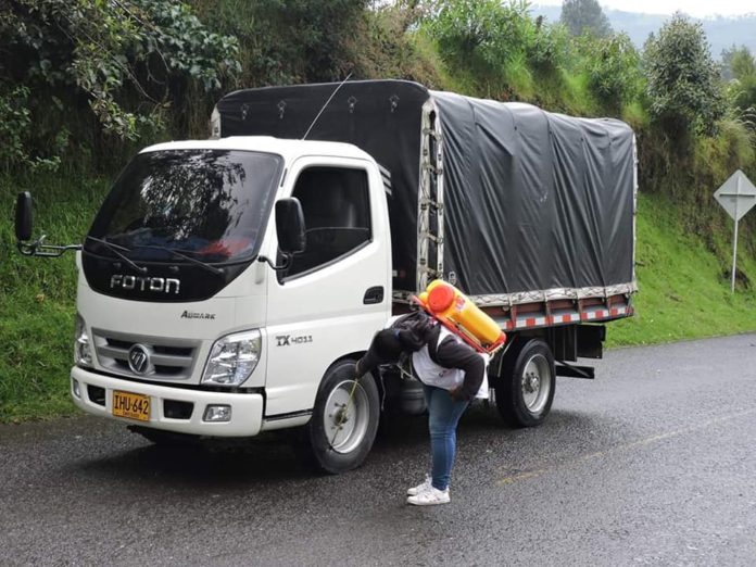 Totoro covid 19 prevencion (1)