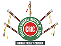 logo_cric_p2
