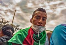 Ante el COVID 19, la prevención