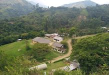 Sentires para repensarnos la existencia desde la comunidad del carpintero