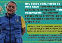 Nelson Casamachin, la semilla que echo raíz en territorio