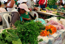 Primer trueque de semillas propias e intercambio de productos en el norte del Cauca