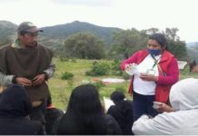 Los pueblos originarios del Cauca enfrentan la pandemia desde la medicina tradicional