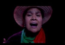Mujer originaria – Memnxi kiwe – (El canto de la tierra)