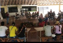 Enraizando la palabra digna de los pueblos
