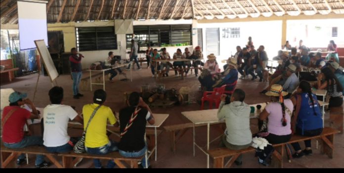 Enraizando la palabra digna de los pueblos