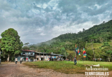 Territorio – Media Bota Caucana
