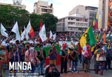 ¿Cambió la constitución en Colombia? Reflexiones de un minguero de muchas luchas