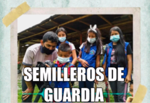Semilleros de Guardia