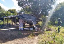 Exigimos acción humanitaria de emergencia ante la grave situación que viven los Pueblos indígenas Amorúa, Sikuani y Sáliba en la frontera Colombo Venezolana