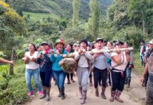 Las prácticas culturales vivencia de los pueblos indígenas