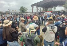 “El mensaje para Colombia es que nos unamos” Aida Quilcue Coordinadora CRIC Nacional