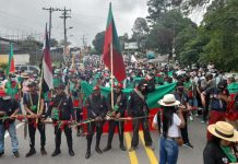 Por la paz, por la vida: la Guardia Indígena junto al pueblo colombiano