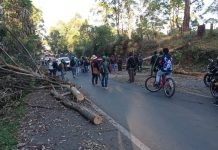 Habilitado Caminos de vida (corredor humanitario)