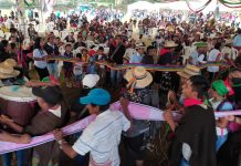 La recuperación de la Tierra, historia de la educación Propia en sus 43 años