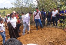 Adiós a nuestra hermana Graciela Bolaños- Siembra en la UAIIN-CRIC Wiñaypak