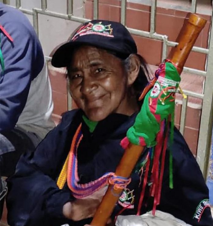 Guardia - Herminia Camayo