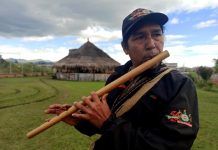 El sonido de la música como terapia corporal