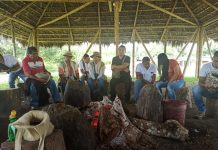 Legislando en comunicación indígena