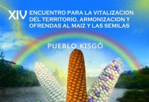 XIV Encuentro para la armonización y ofrendas al maíz y semillas Pueblo Kisgó